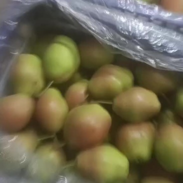 红香酥