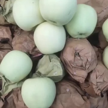 黄元帅