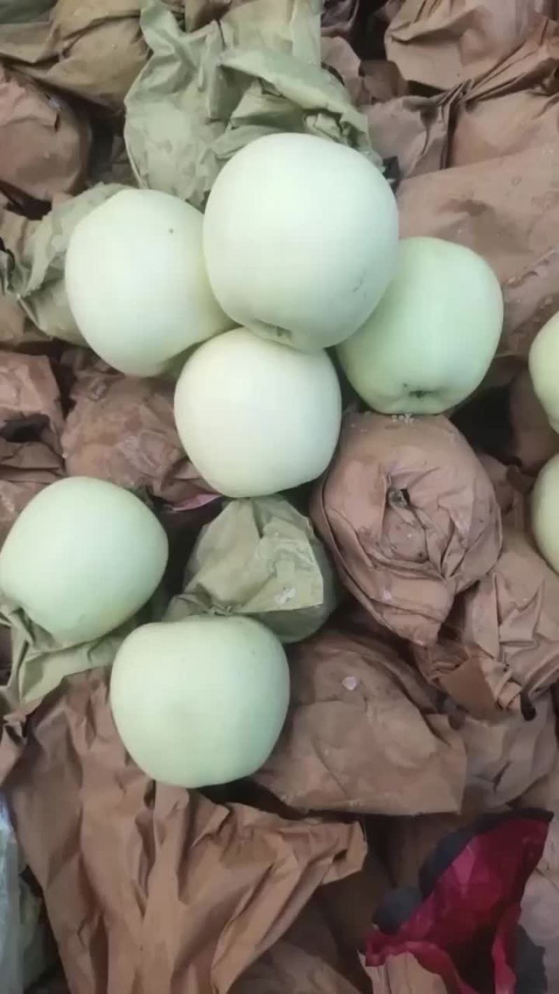 黄元帅
