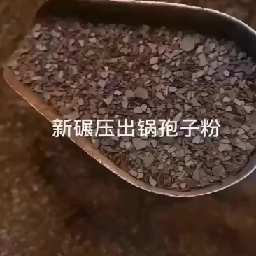 灵芝孢子粉靓货哦！