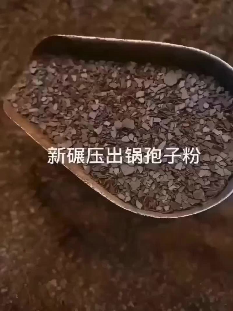 灵芝孢子粉靓货哦！