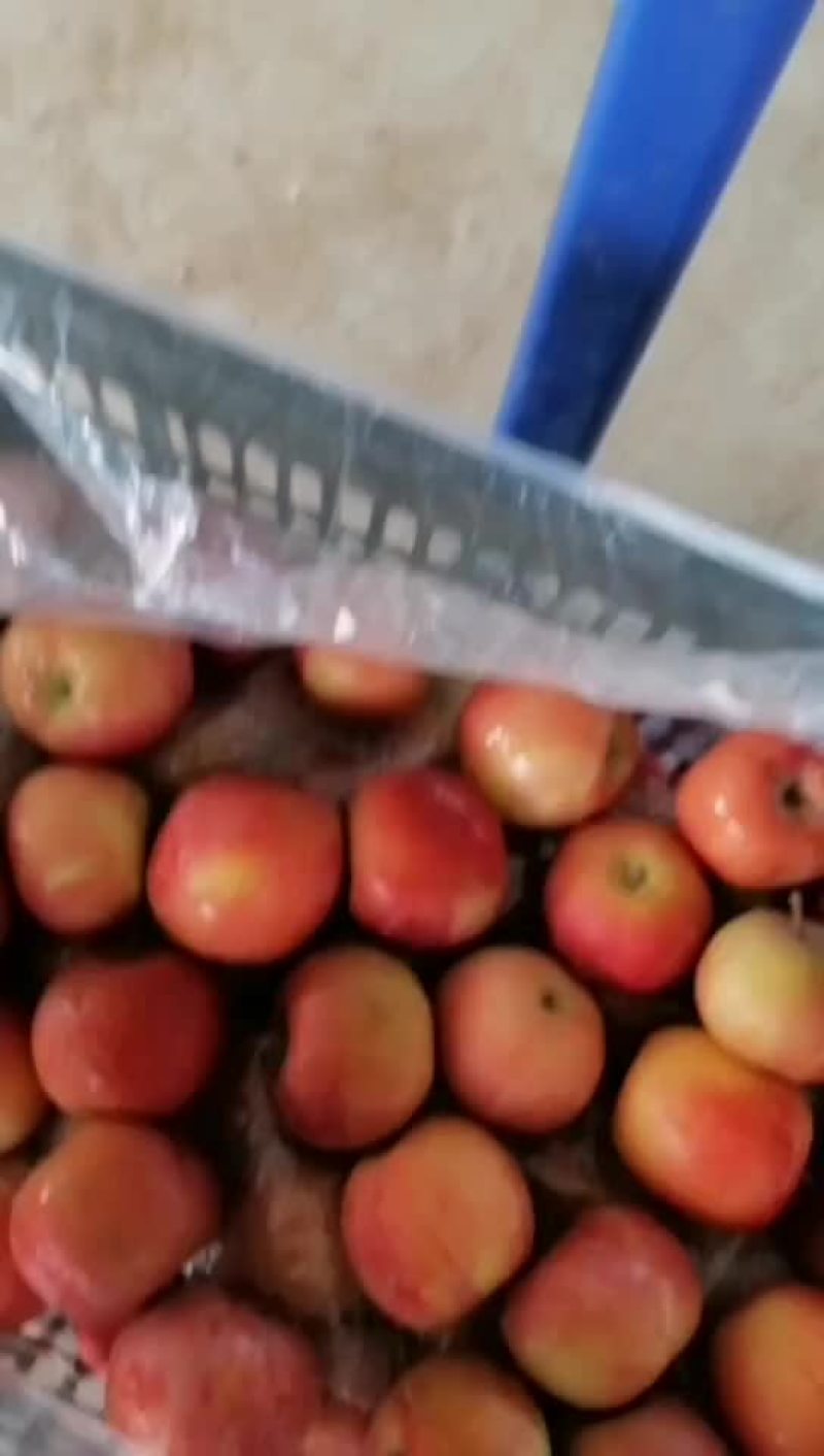 阿克苏冰糖心苹果