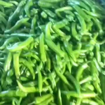 暖棚尖椒，色泽鲜