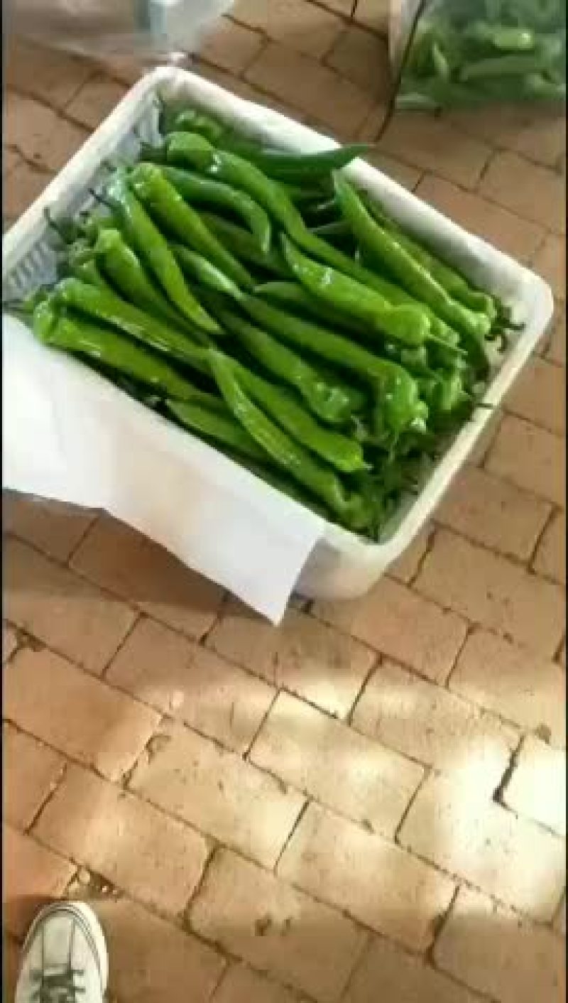暖棚尖椒，色泽鲜