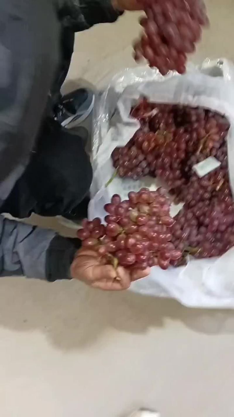克伦生葡萄