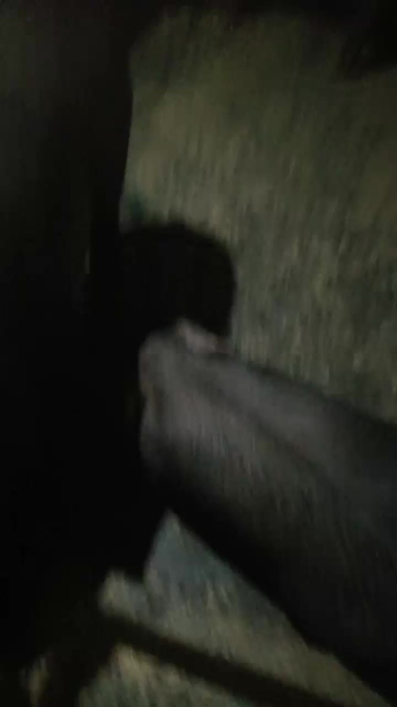 吃玉米养大的