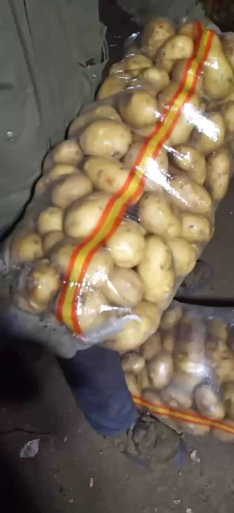 万亩土豆大量库存精品黄金薯，沃土，EV商品薯价格美丽