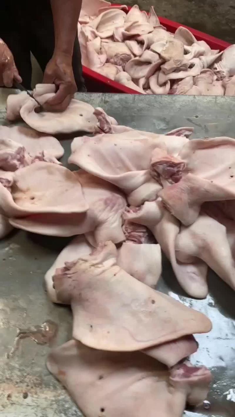 母猪猪耳