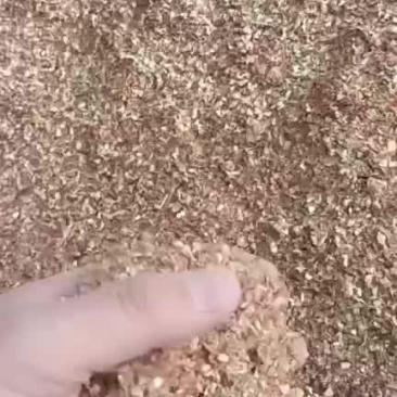 玉米毛糠