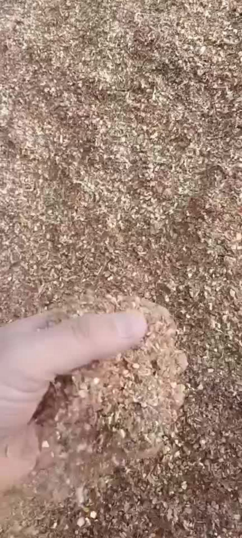 玉米毛糠