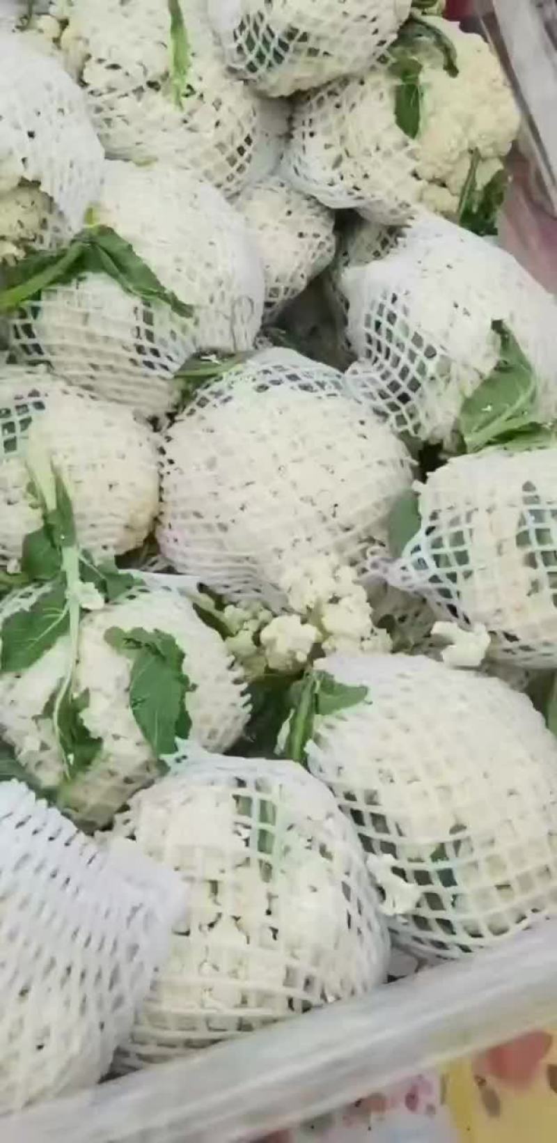 精品小米花，长期有货。