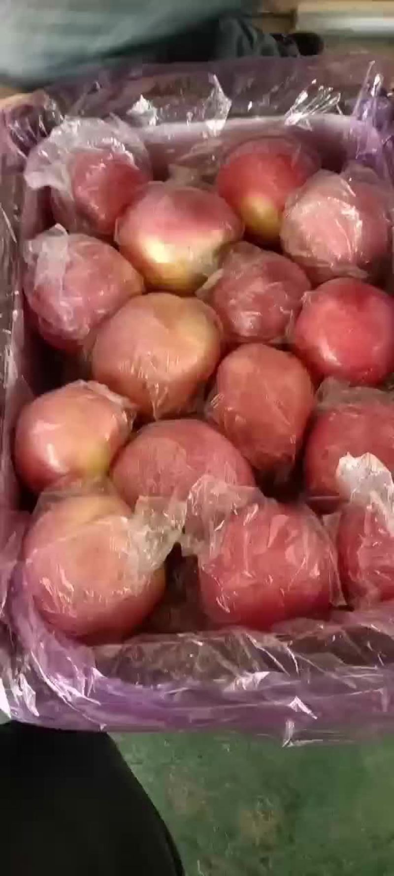 纸加膜冰糖心红富士苹果大量现货供应中，口感脆甜多汁。