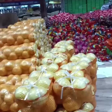 套袋红心柚六万斤