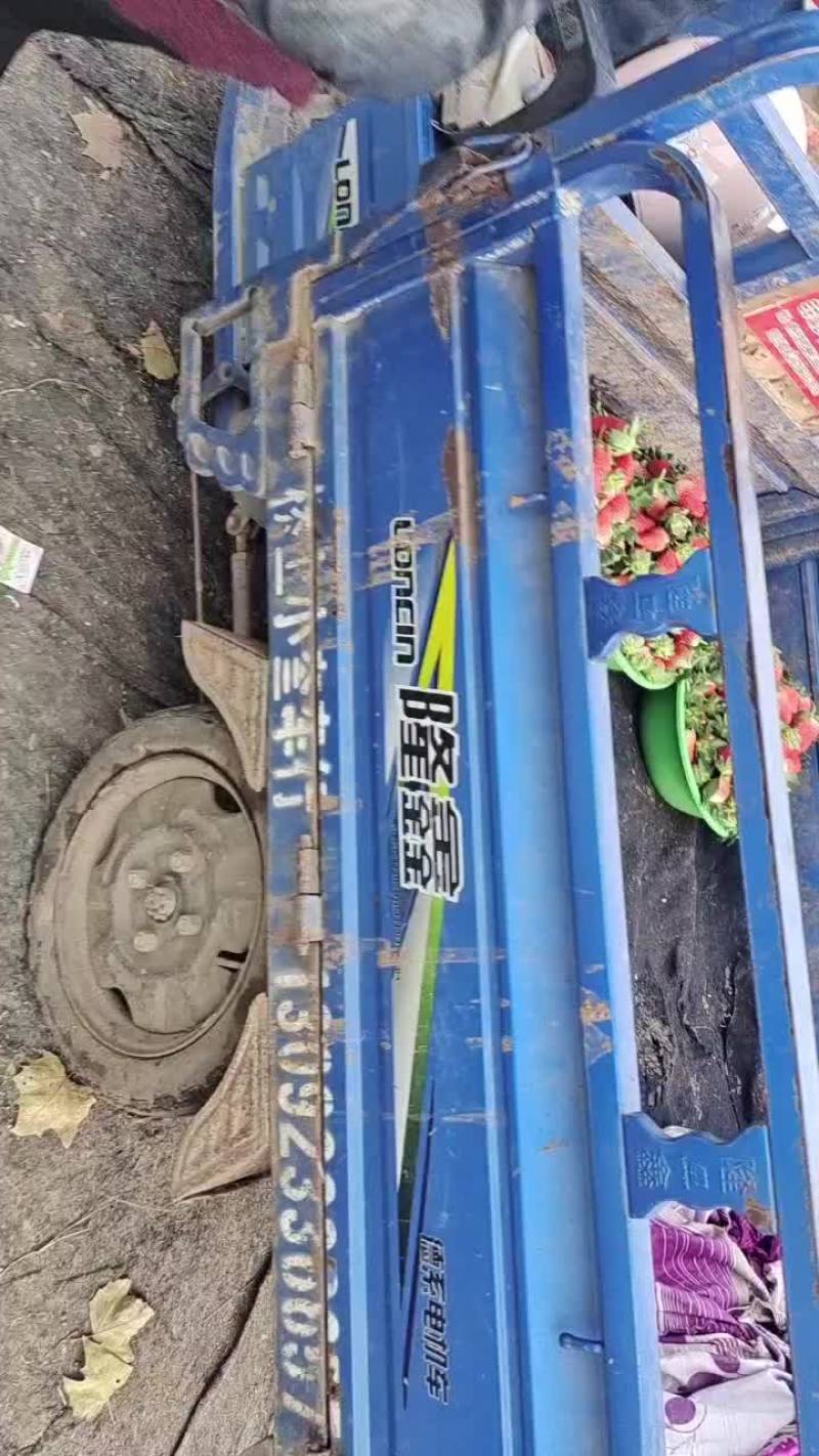 万亩草莓园大量上市，便宜便宜再便宜！