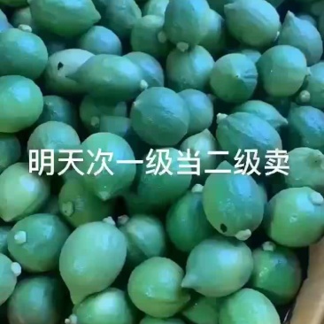 惠州香水柠檬
