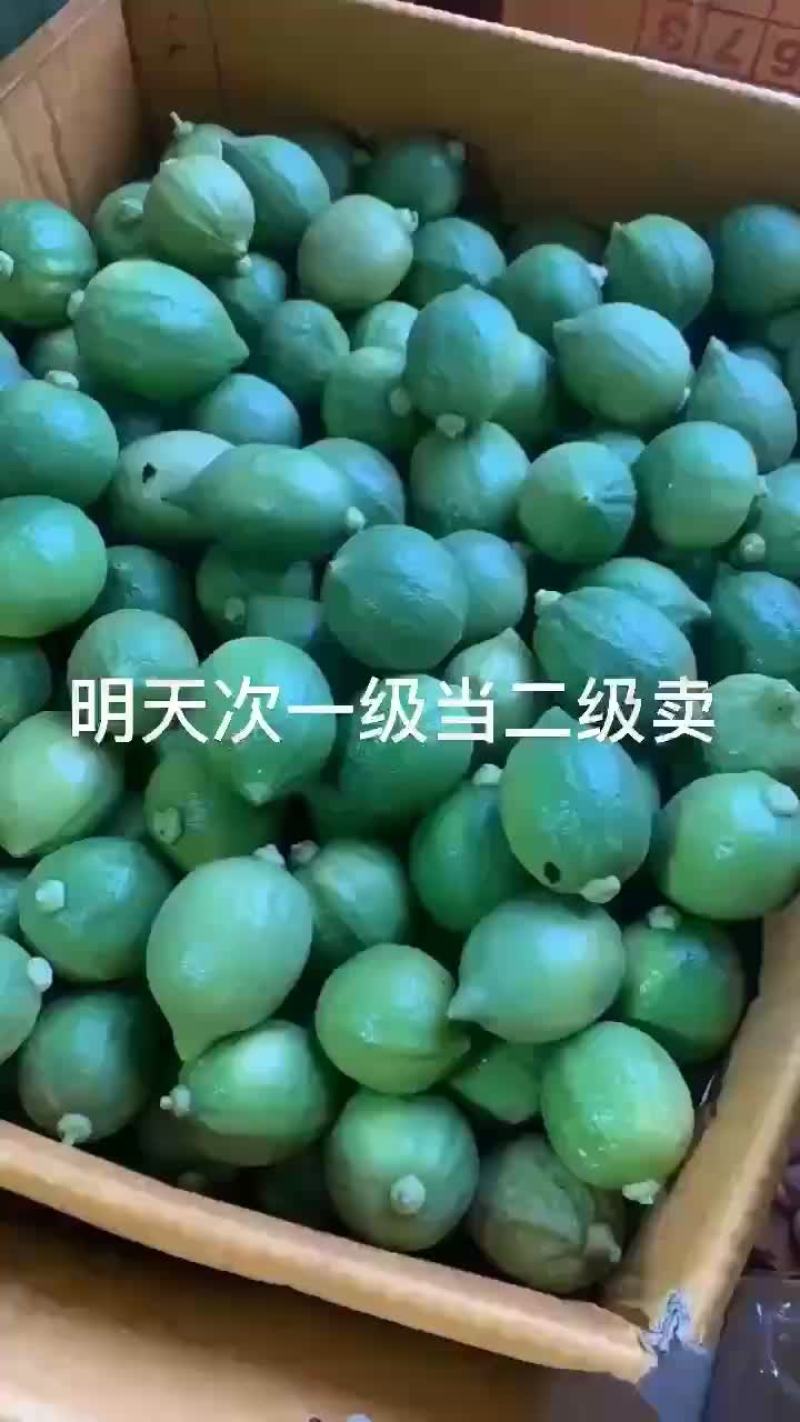 惠州香水柠檬