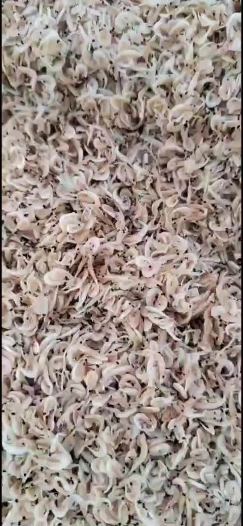 小虾米