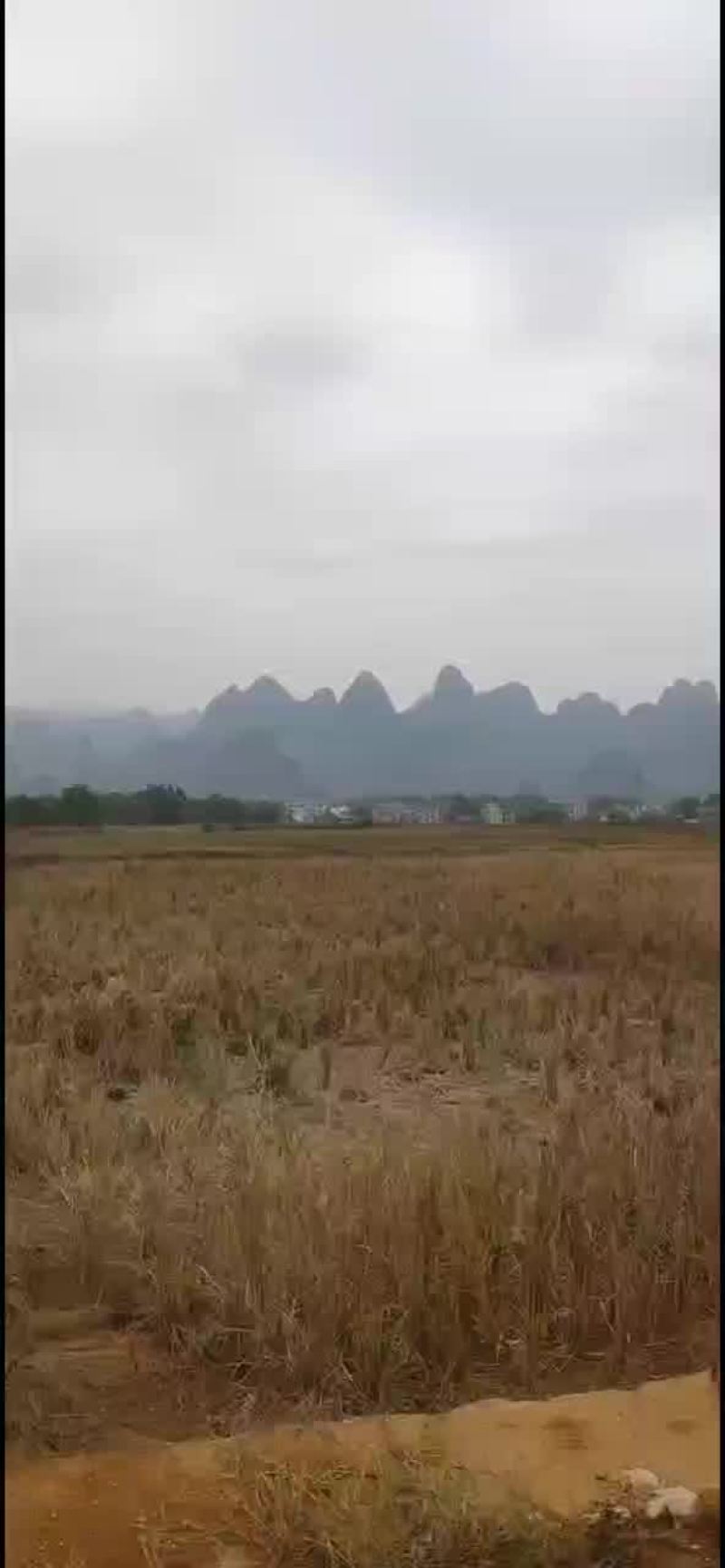 土地出租可种2季