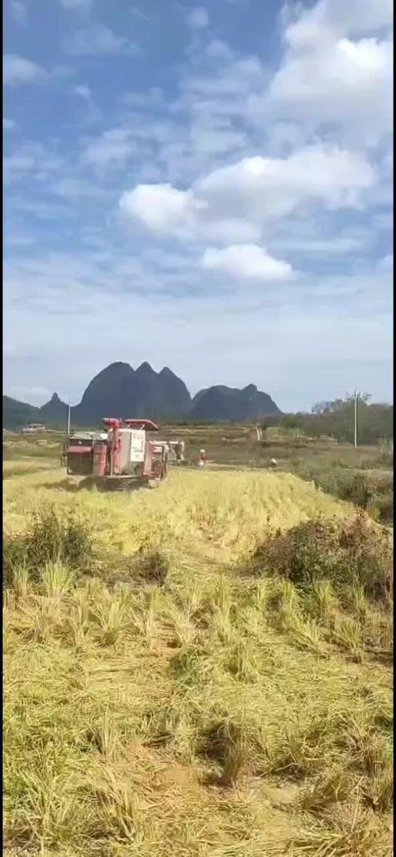 土地出租可种2季