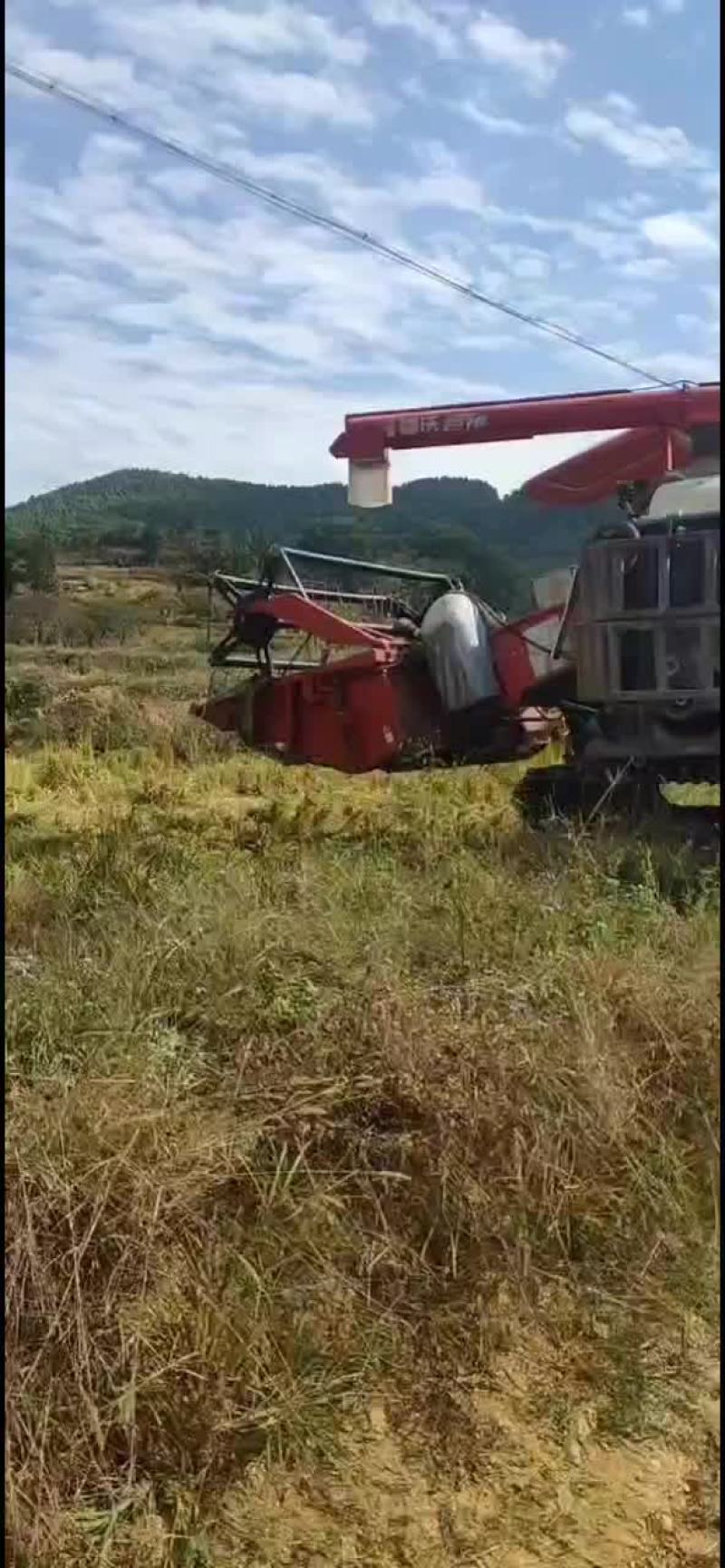 土地出租可种2季