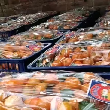 砂糖橘