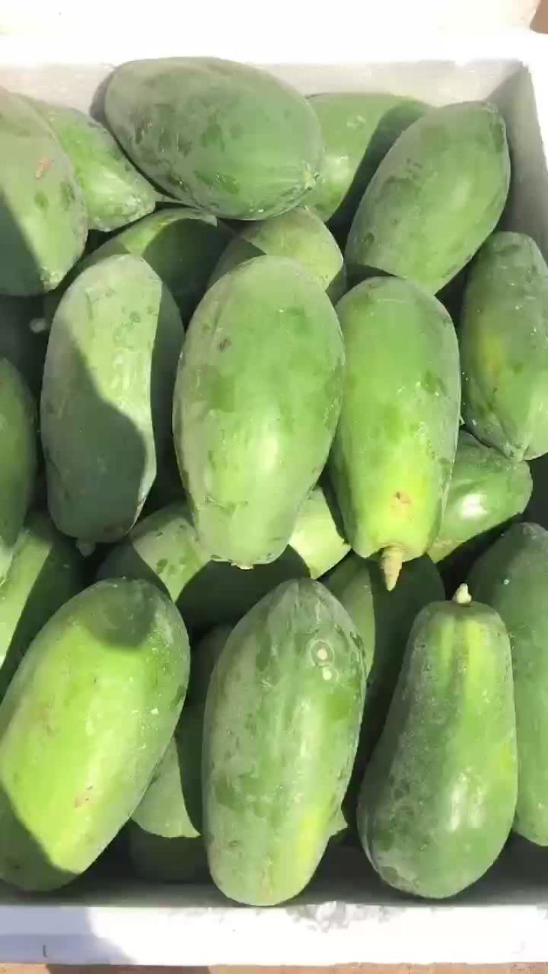 木瓜木瓜，高营养的木瓜，发财致富，找我就对了，只做好木瓜