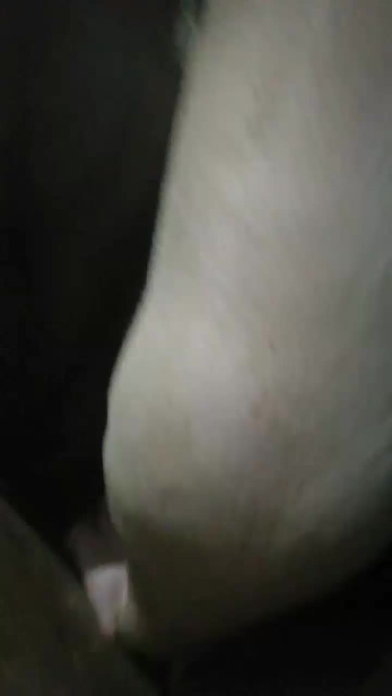 玉米白菜喂养