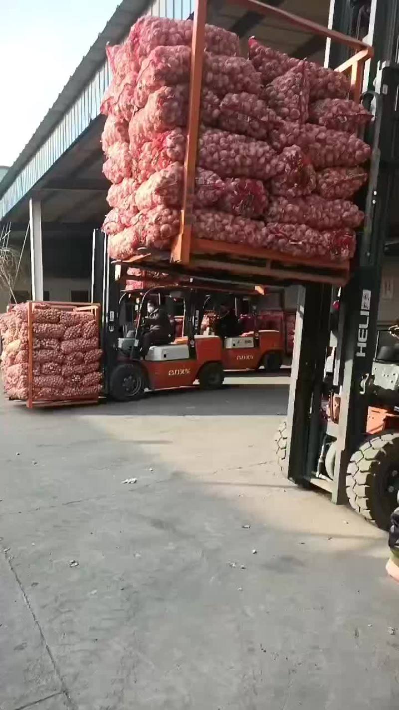 大蒜便宜处理