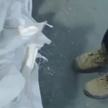 母猪去皮五花