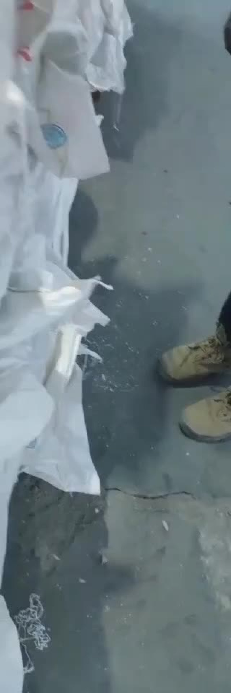 母猪去皮五花