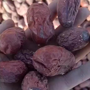 和田大枣皮皮枣