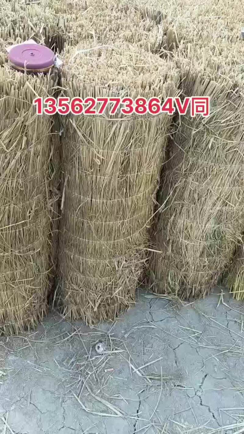 三农稻草帘草绳