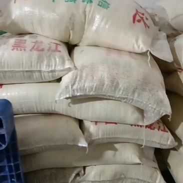 非转基因黄豆粉二十吨