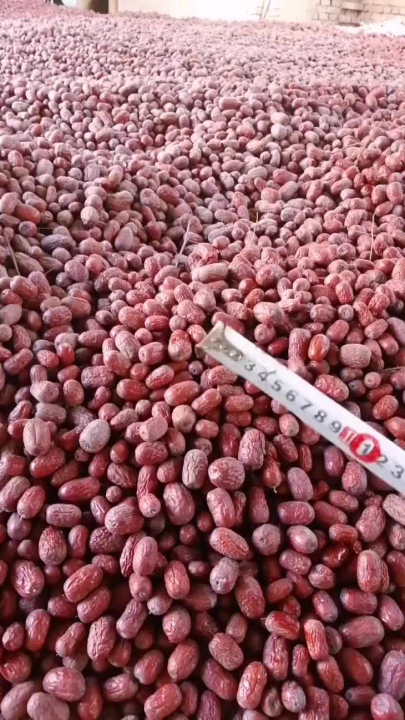 新疆灰枣亚克西圈圈请您看指系