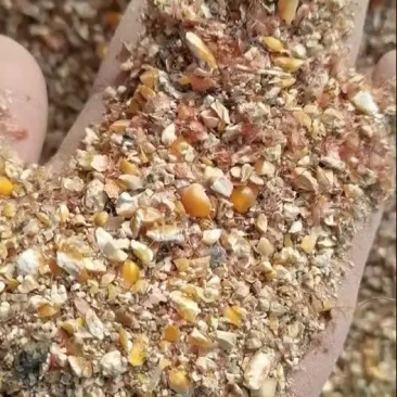 毛粮碎玉米现货135吨