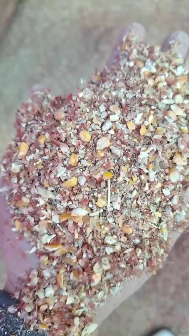 毛粮碎玉米现货135吨