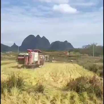 水田出租