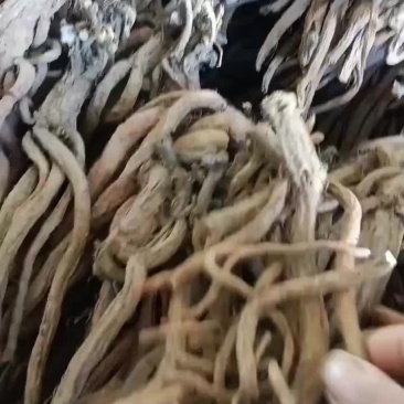 大统装