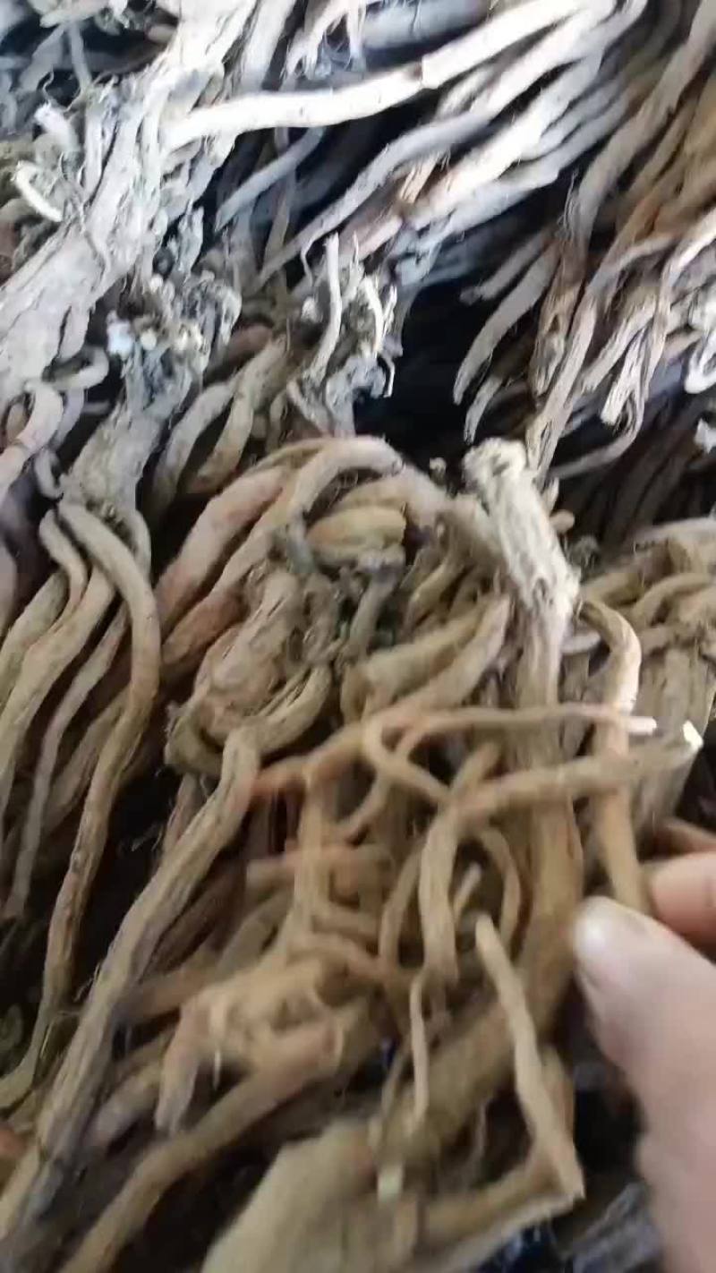 大统装