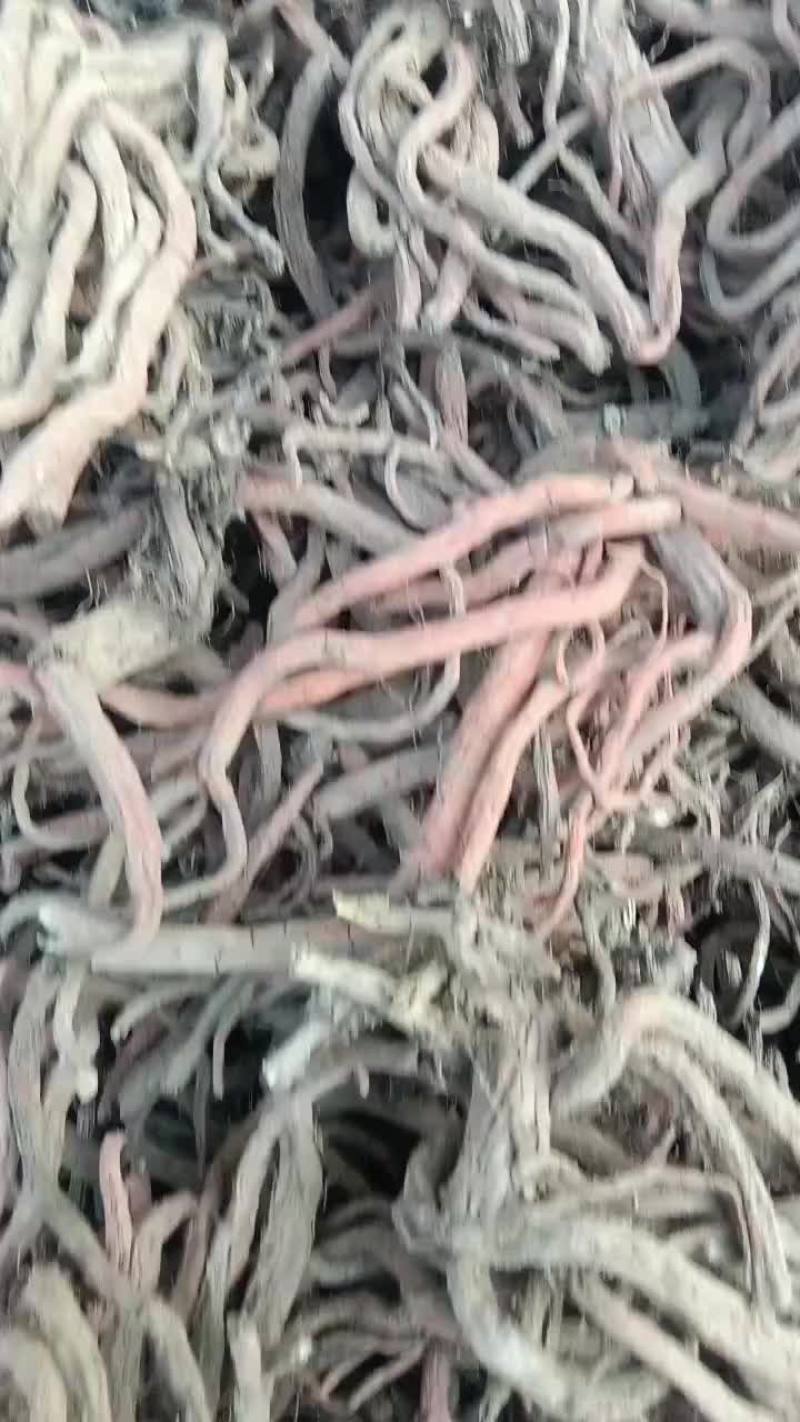 大统装