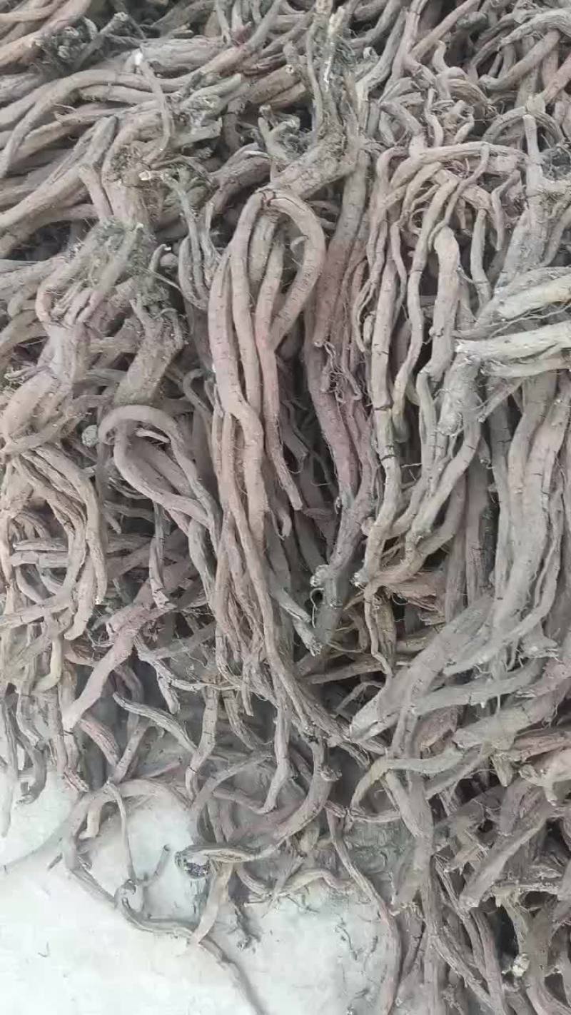 大统装