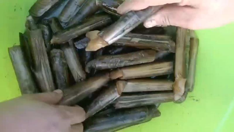 竹节蛏，需要的联系我！