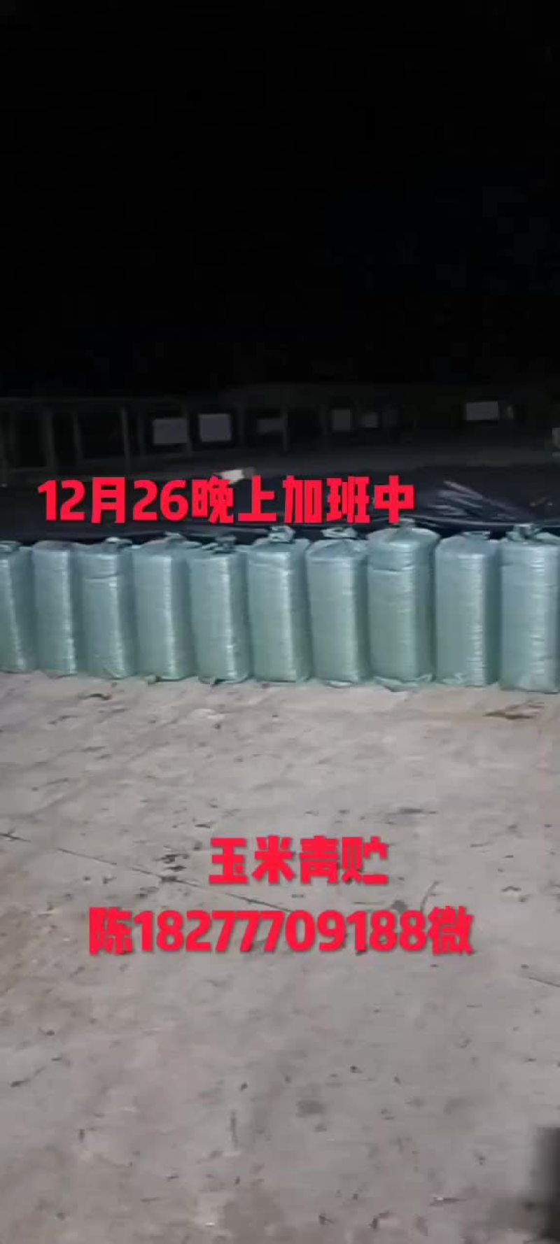 玉米杆青贮饲料