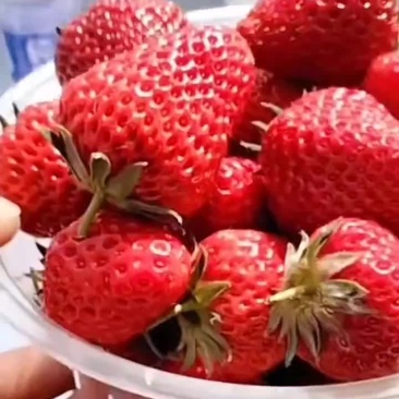 草莓