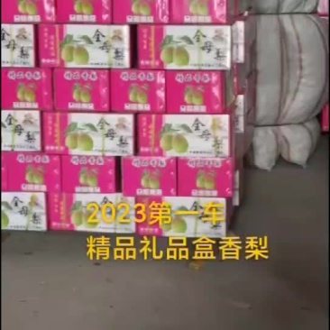 梨，玉露香