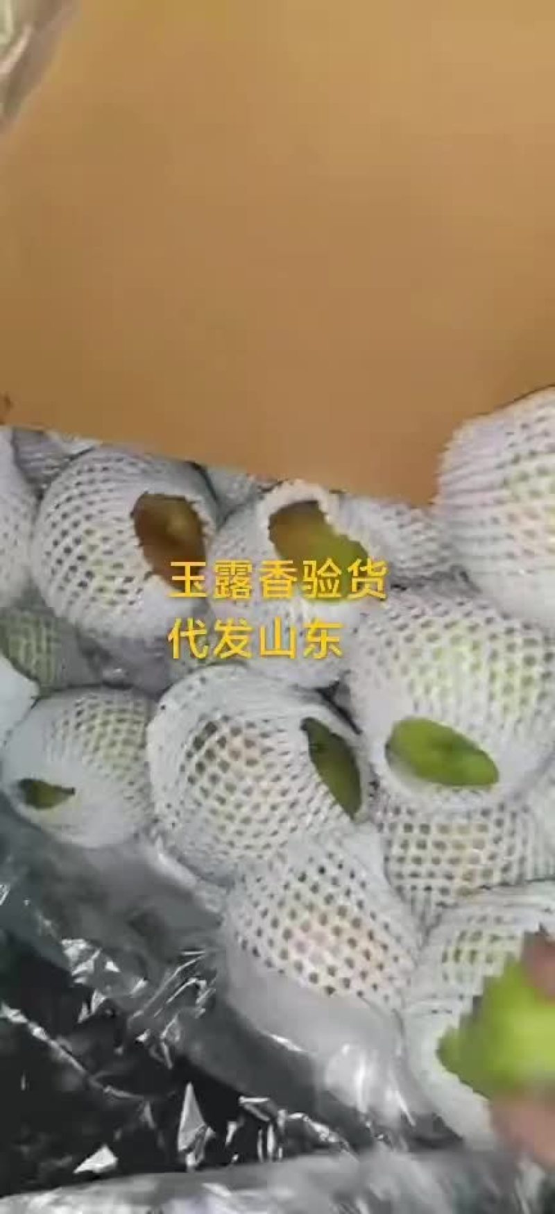梨，玉露香