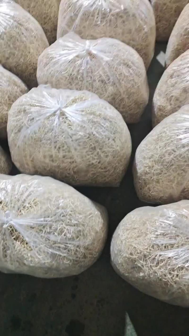 芥菜头干颗颗，光头芥干丝丝，机器烘干