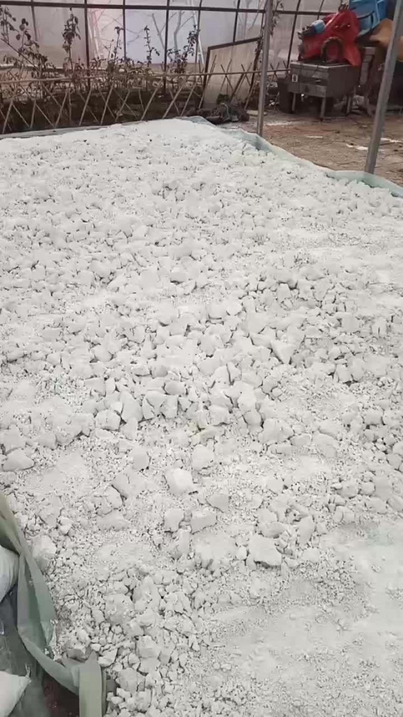 精品红薯粉面