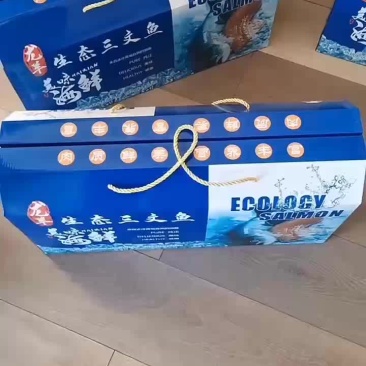三文鱼礼品盒