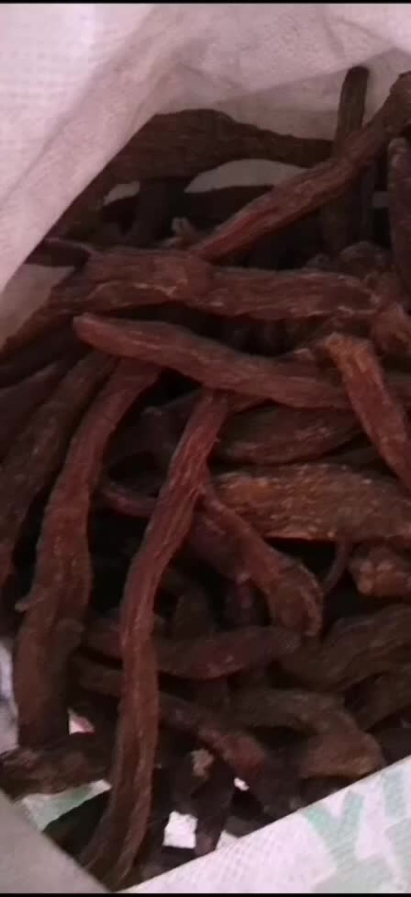 肉苁蓉
